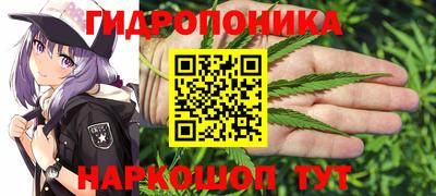 меф Краснознаменск