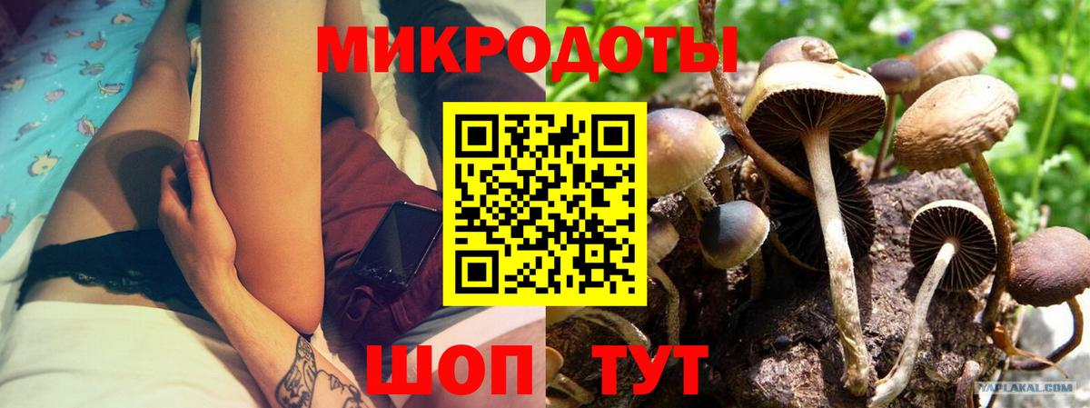Псилоцибиновые грибы мухоморы Добрянка