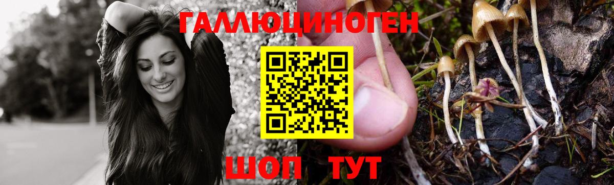 Галлюциногенные грибы Cubensis  Галлюциногенные грибы GOLDEN TEACHER  Добрянка  Вход с VPN 
